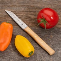 Zöppken Style Olive Ranken