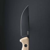 P200 Cerakote Schwarz GRNPU Koyote Kydex