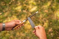 ONE Palisander mit Splint