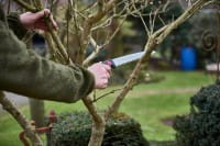 Handsäge Gomtaro 210-8