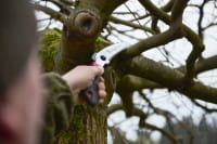 Taschensäge 180T Garten