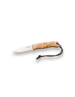 Artica Maserbirke