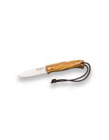 Artica Olive