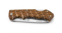 Bocote