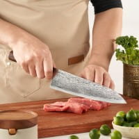 Gyuto Damast