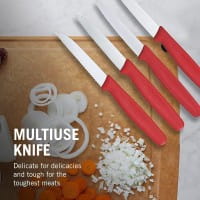 Swiss Classic Profi Gemüsemesser Set, 6-teilig Rot in Geschenkschachtel