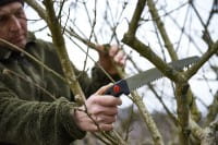 Handsäge Gomtaro 210-8