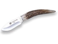 Topo Horn