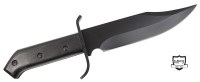 Ranger I