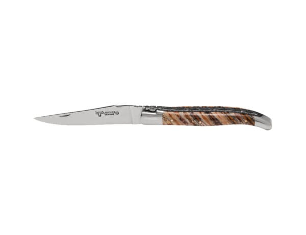 Taschenmesser 12cm Mammut