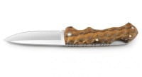Bocote